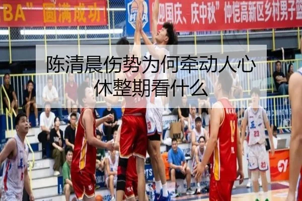 陈清晨伤势为何牵动人心 休整期看什么